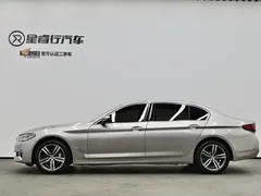 2021 BMW 5 Series 530Li xDrive — фото 6