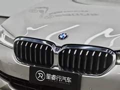 2021 BMW 5 Series 530Li xDrive — фото 28