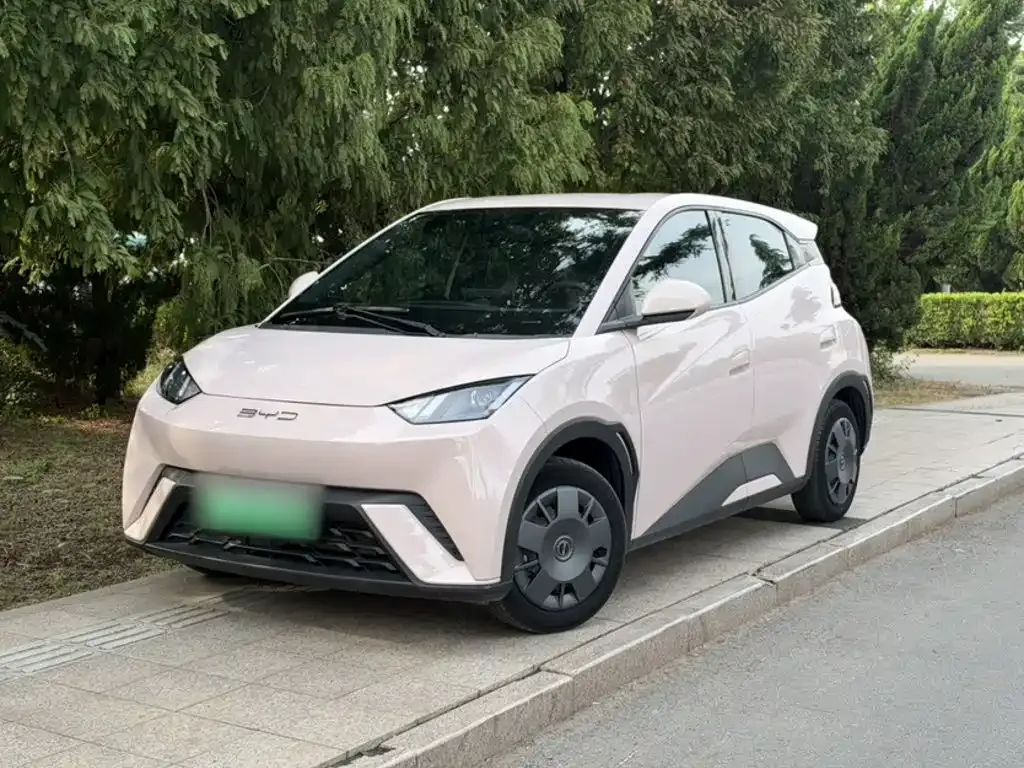 2023 BYD Seagull Vitality
