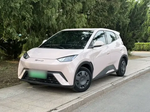 2023 BYD Seagull Vitality