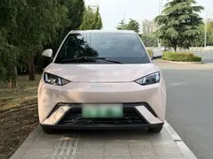 2023 BYD Seagull Vitality, чёрный — фото 16