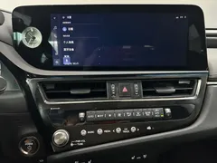 2022 Lexus ES 300h Premium — фото 15