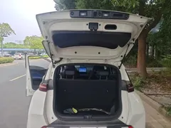 2025 BYD Seagull 305km Vitality, белый — фото 19