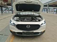 2020 Mazda CX-30 2.0L AT, белый — фото 20