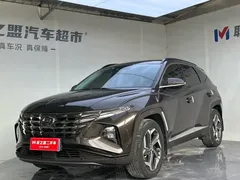 2021 Hyundai Tucson L 1.5T DCT LUX Premium — фото 1