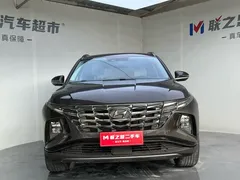 2021 Hyundai Tucson L 1.5T DCT LUX Premium — фото 2