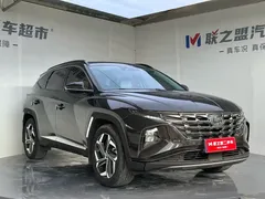 2021 Hyundai Tucson L 1.5T DCT LUX Premium — фото 3
