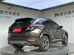 2021 Hyundai Tucson L 1.5T DCT LUX Premium — фото 4