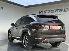 2021 Hyundai Tucson L 1.5T DCT LUX Premium — фото 6