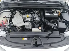 2023 Toyota Levin 185T CVT Luxury, белый — фото 10