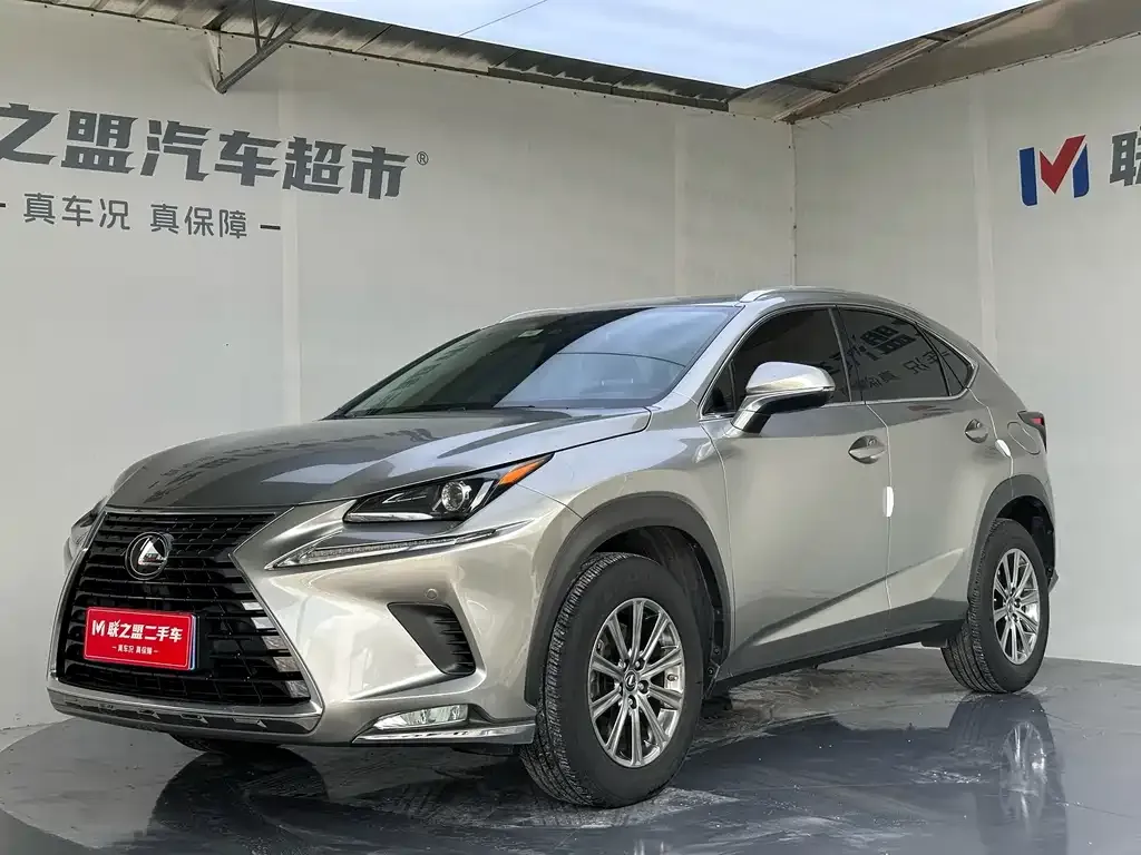 2020 Lexus NX 200 Fashion VI