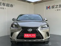2020 Lexus NX 200 Fashion VI — фото 2