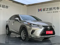 2020 Lexus NX 200 Fashion VI — фото 3