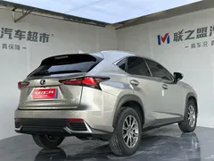 2020 Lexus NX 200 Fashion VI — фото 4