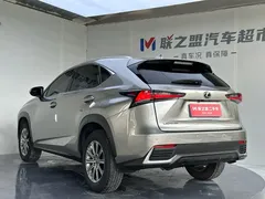 2020 Lexus NX 200 Fashion VI — фото 6