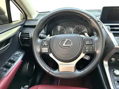 2020 Lexus NX 200 Fashion VI — фото 22