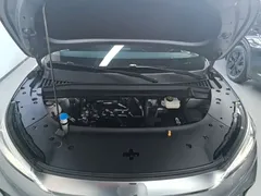 2024 BYD Yuan PLUS Honor 510KM Leading — фото 20