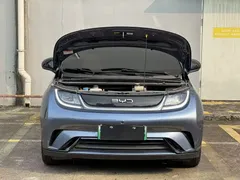 2025 BYD Dolphin 420km Freedom, синий — фото 11