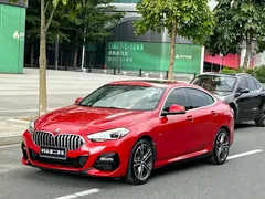 2021 BMW 2 Series 2 225i M — фото 1