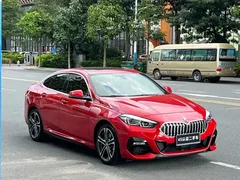 2021 BMW 2 Series 2 225i M — фото 3