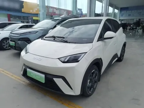 2025 BYD Seagull 305km Freedom