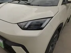 2025 BYD Seagull 305km Freedom, белый — фото 24