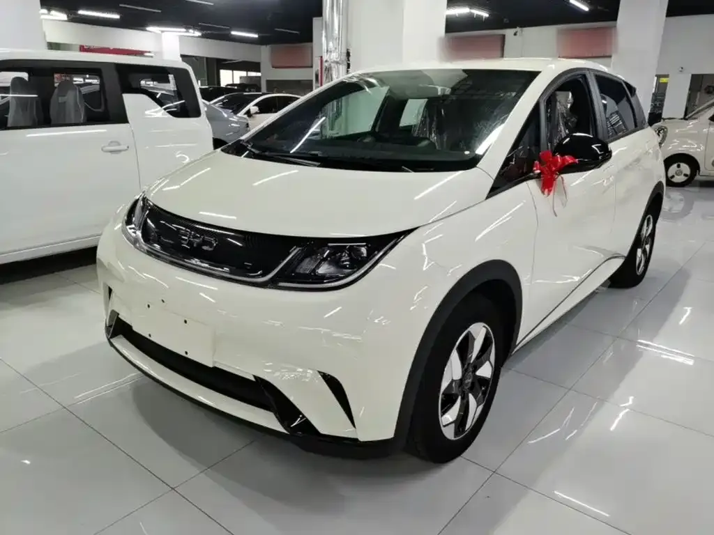 2025 BYD 420km