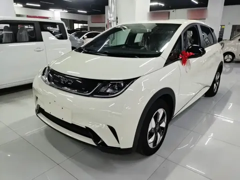 2025 BYD 420km