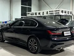 2021 BMW 3 Series 3 325Li M, чёрный — фото 6
