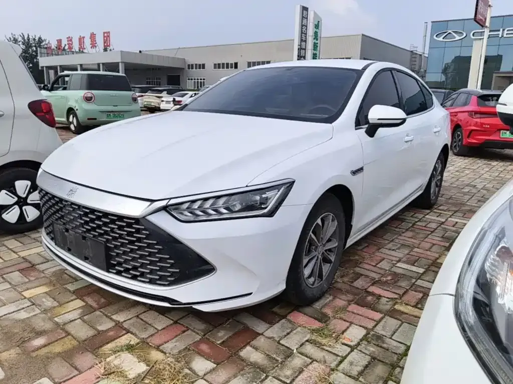 2024 BYD Qin PLUS DM-i 55KM