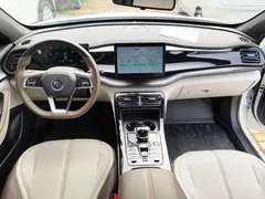2024 BYD Qin PLUS DM-i 55KM, белый — фото 10