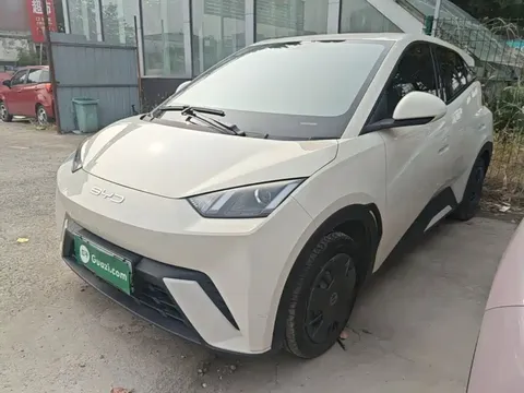 2023 BYD Seagull Vitality
