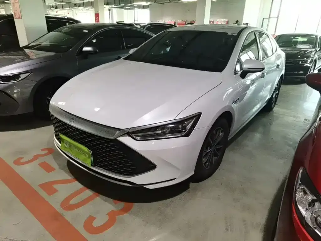 2024 BYD Qin PLUS DM-i 55KM