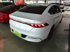 2024 BYD Qin PLUS DM-i 55KM, белый — фото 7