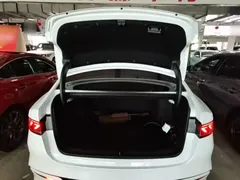 2024 BYD Qin PLUS DM-i 55KM, белый — фото 19