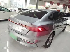 2024 BYD Qin PLUS DM-i 55KM — фото 7