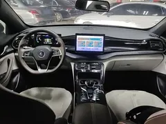 2024 BYD Qin PLUS DM-i 55KM — фото 10