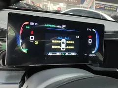 2024 BYD Qin PLUS DM-i 55KM — фото 12