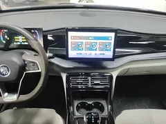 2024 BYD Qin PLUS DM-i 55KM — фото 13