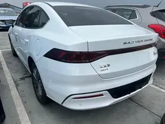 2024 BYD Qin PLUS DM-i 55KM, белый — фото 10