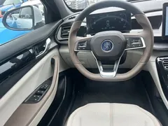 2024 BYD Qin PLUS DM-i 55KM, белый — фото 14