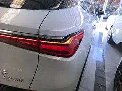 2022 BYD Yuan PLUS EV 430km Premium — фото 8