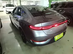 2025 BYD Qin PLUS DM-i 55KM — фото 5