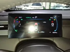 2025 BYD Qin PLUS DM-i 55KM — фото 12
