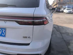 2021 Geely Monjaro 2.0TD DCT EVO 2WD Premium, белый — фото 24