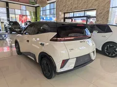 2025 BYD Seagull EV 305km, белый — фото 5