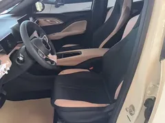 2025 BYD Seagull EV 305km, белый — фото 15