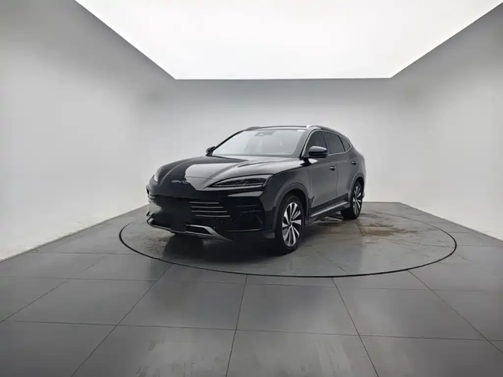 2023 BYD Song PLUS 110KM PLUS