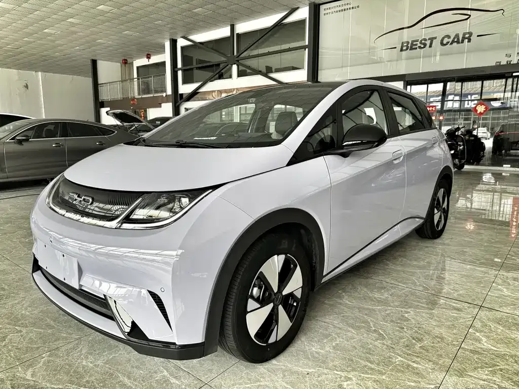 2023 BYD 420km