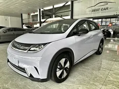 2023 BYD 420km — фото 1